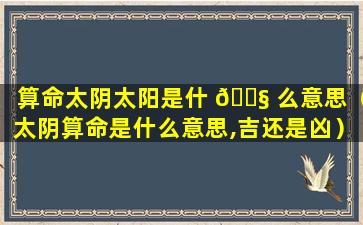 算命太阴太阳是什 🐧 么意思（太阴算命是什么意思,吉还是凶）